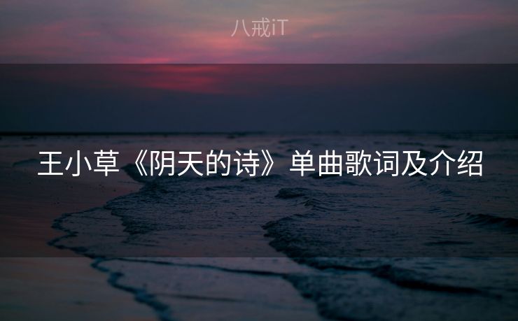 王小草《阴天的诗》单曲歌词及介绍