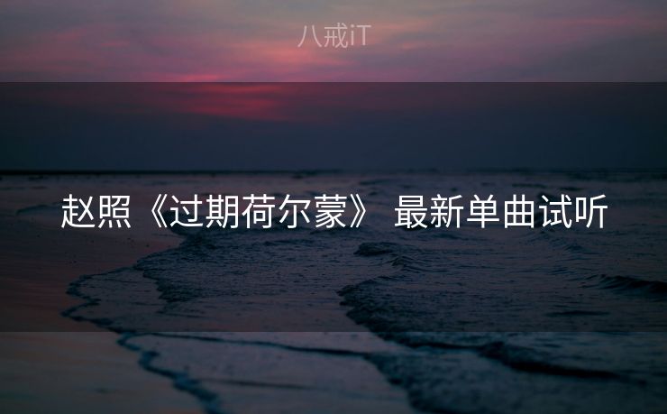 赵照《过期荷尔蒙》 最新单曲试听 赵照《过期荷尔蒙》 最新单曲试听