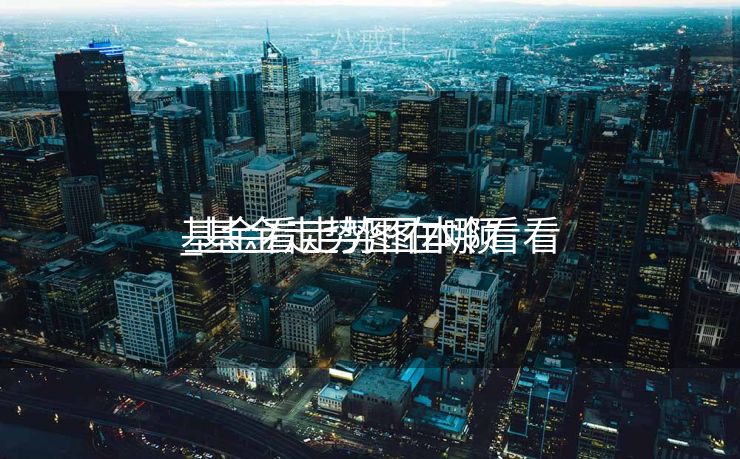 基金看走势图本领
_基金走势图在哪看看 基金看走势图本领
_基金走势图在哪看看