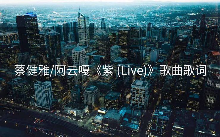 蔡健雅/阿云嘎《紫 (Live)》歌曲歌词