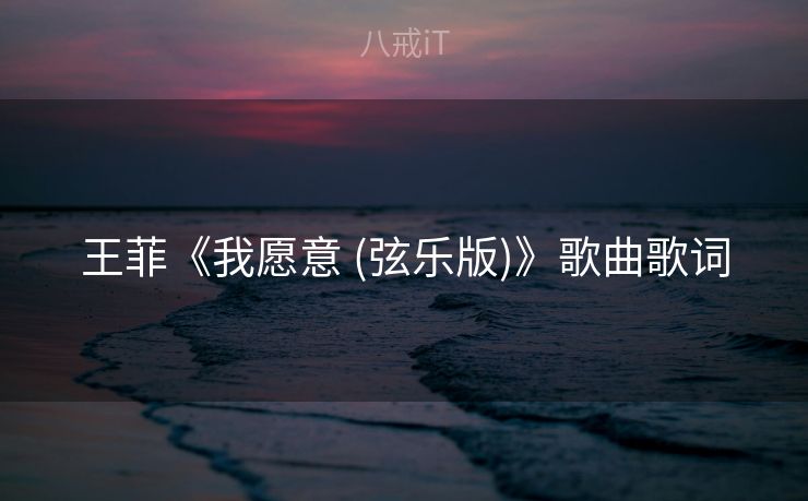 王菲《我愿意 (弦乐版)》歌曲歌词