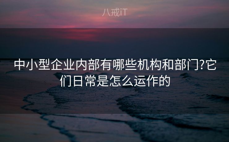 中小型企业内部有哪些机构和部门?它们日常是怎么运作的