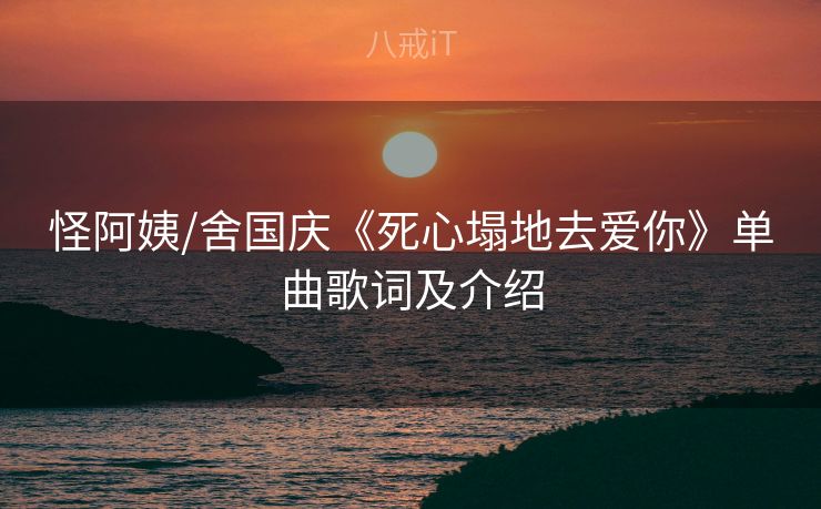怪阿姨/舍国庆《死心塌地去爱你》单曲歌词及介绍