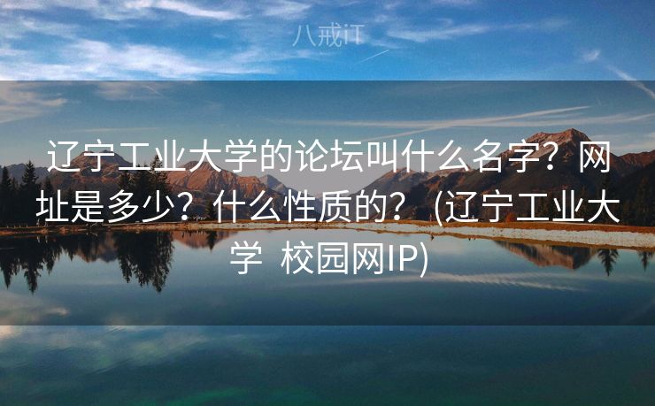 辽宁工业大学的论坛叫什么名字？网址是多少？什么性质的？ (辽宁工业大学  校园网IP)