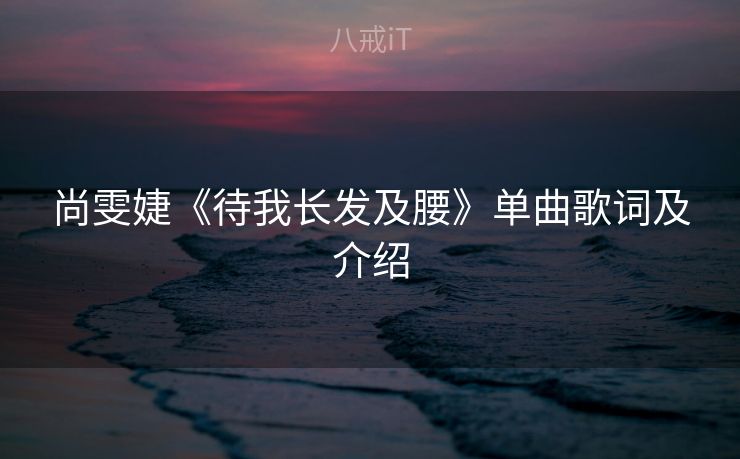 尚雯婕《待我长发及腰》单曲歌词及介绍