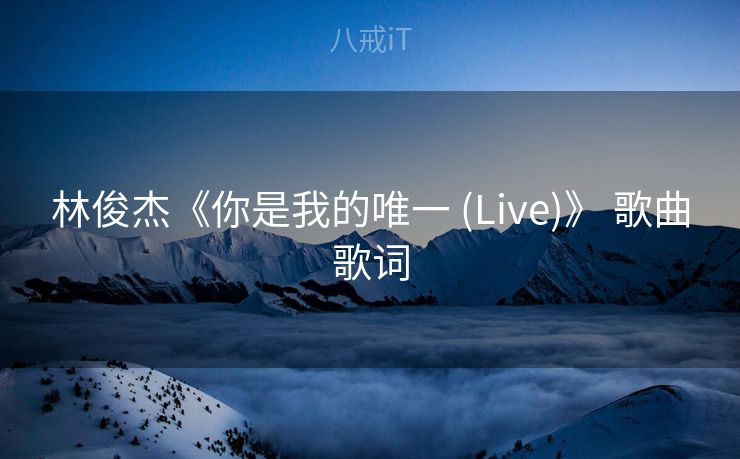 林俊杰《你是我的唯一 (Live)》 歌曲歌词