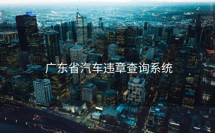  广东省汽车违章查询系统