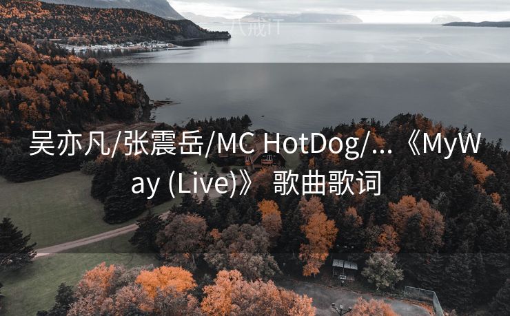 吴亦凡/张震岳/MC HotDog/...《MyWay (Live)》 歌曲歌词