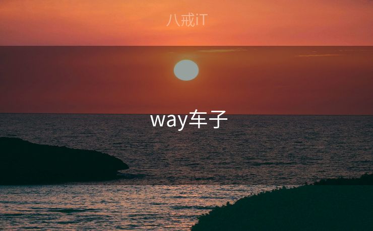 way车子  way车子