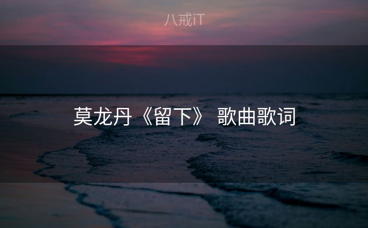 莫龙丹《留下》 歌曲歌词