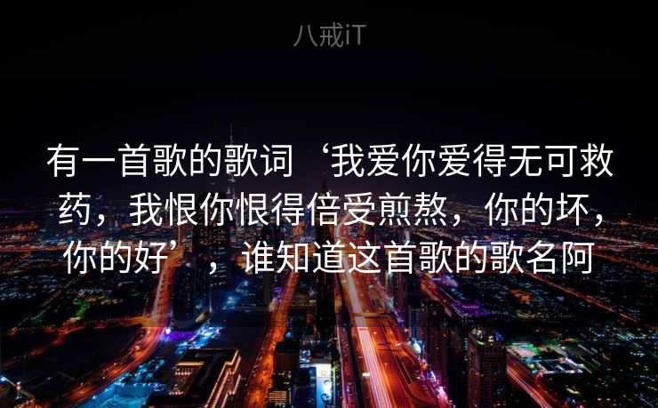 有一首歌的歌词‘我爱你爱得无可救药，我恨你恨得倍受煎熬，你的坏，你的好’，谁知道这首歌的歌名阿