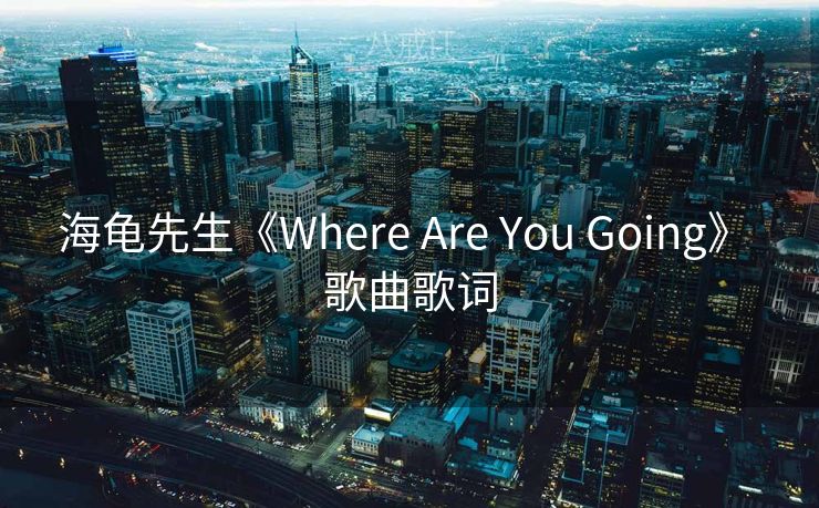 海龟先生《Where Are You Going》 歌曲歌词