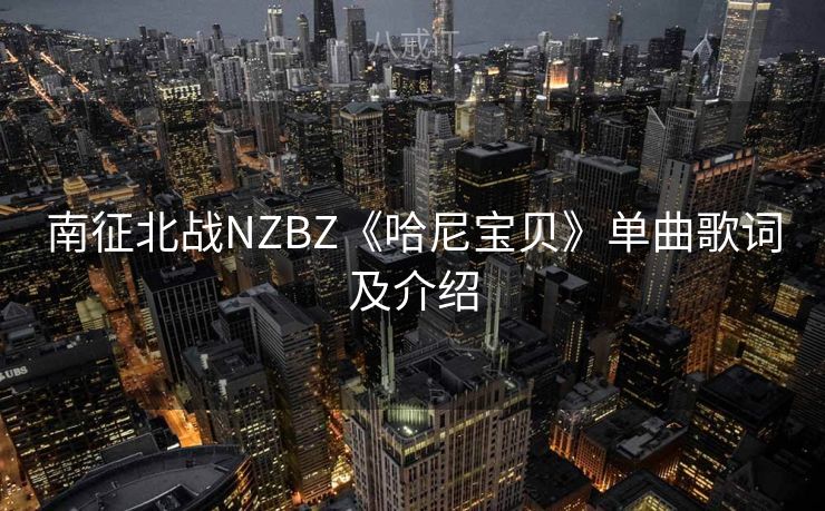 南征北战NZBZ《哈尼宝贝》单曲歌词及介绍