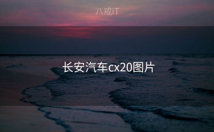  长安汽车cx20图片