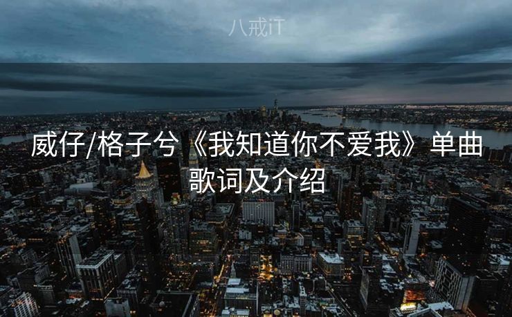 威仔/格子兮《我知道你不爱我》单曲歌词及介绍