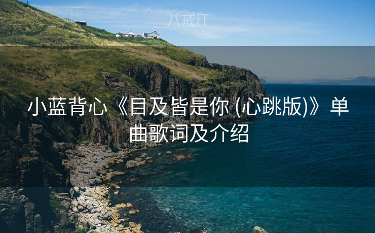 小蓝背心《目及皆是你 (心跳版)》单曲歌词及介绍