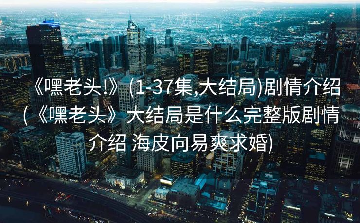 《嘿老头!》(1-37集,大结局)剧情介绍 (《嘿老头》大结局是什么完整版剧情介绍 海皮向易爽求婚)