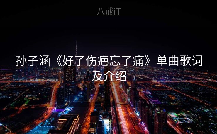孙子涵《好了伤疤忘了痛》单曲歌词及介绍