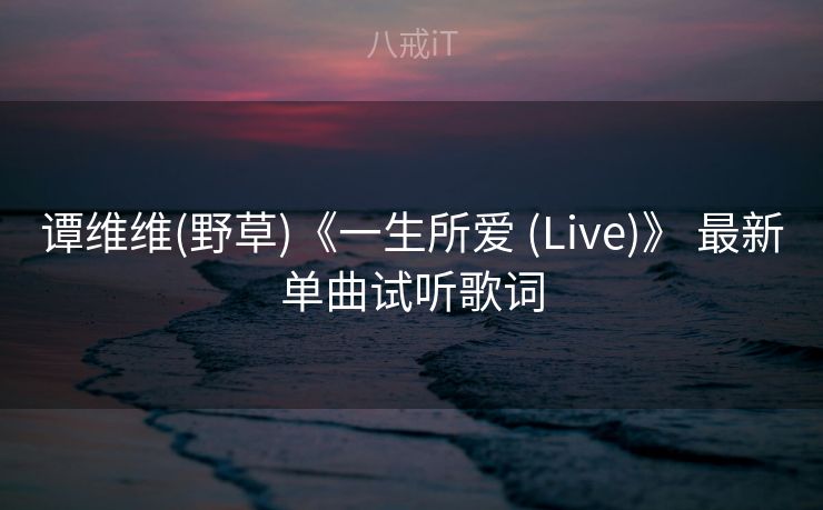 谭维维(野草)《一生所爱 (Live)》 最新单曲试听歌词