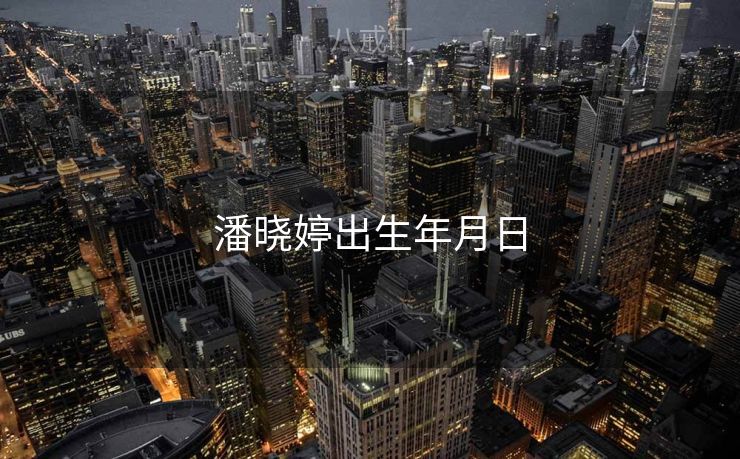 潘晓婷出生年月日