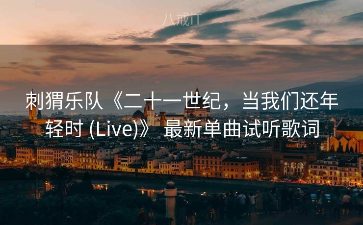 刺猬乐队《二十一世纪，当我们还年轻时 (Live)》 最新单曲试听歌词