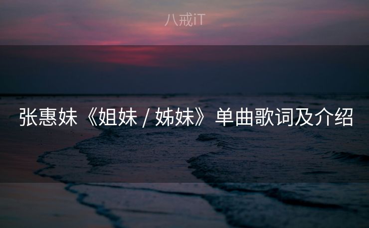 张惠妹《姐妹 / 姊妹》单曲歌词及介绍 张惠妹《姐妹 / 姊妹》单曲歌词及介绍