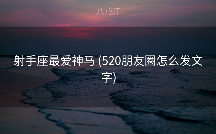 射手座最爱神马 (520朋友圈怎么发文字)