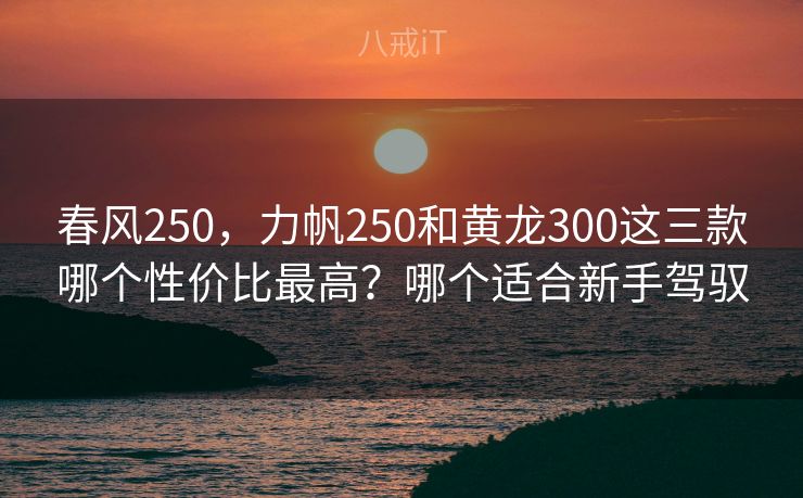 春风250,力帆250和黄龙300这三款哪个性价比最高?哪个适合新手驾驭 春风250,力帆250和黄龙300这三款哪个性价比最高?哪个适合新手驾驭