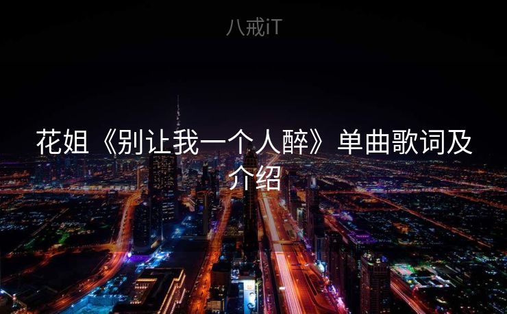 花姐《别让我一个人醉》单曲歌词及介绍