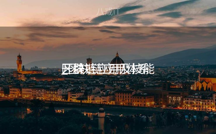 区块链应用及技能
开辟
_区块链应用体系
开辟
