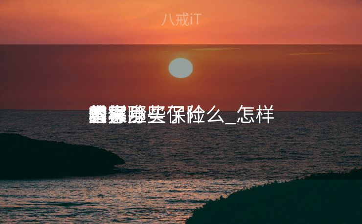 怎样
查察

本身
的保险买了什么_怎样
看本身
买了那些保险