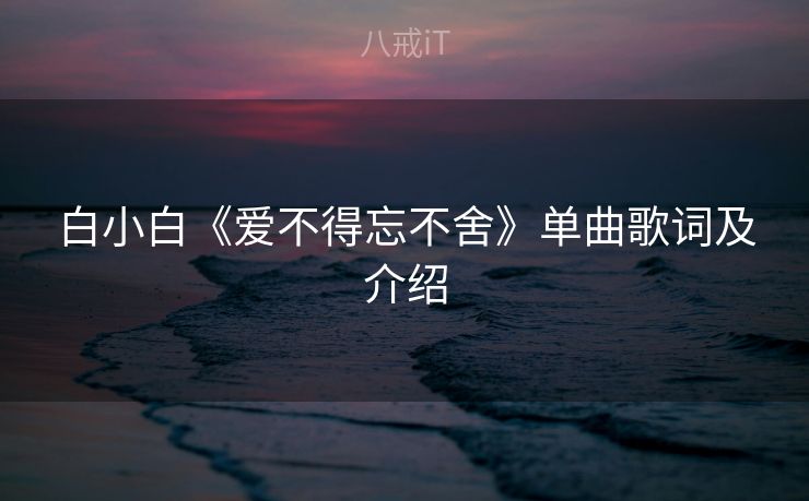 白小白《爱不得忘不舍》单曲歌词及介绍
