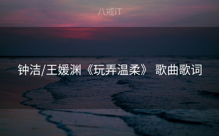 钟洁/王媛渊《玩弄温柔》 歌曲歌词