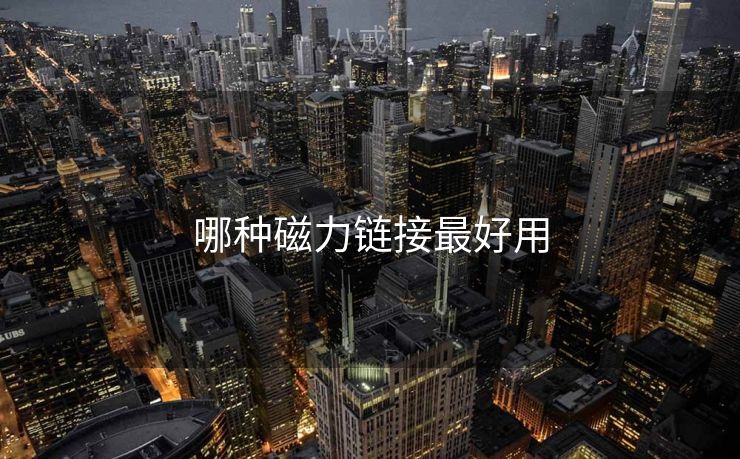 哪种磁力链接最好用 哪种磁力链接最好用