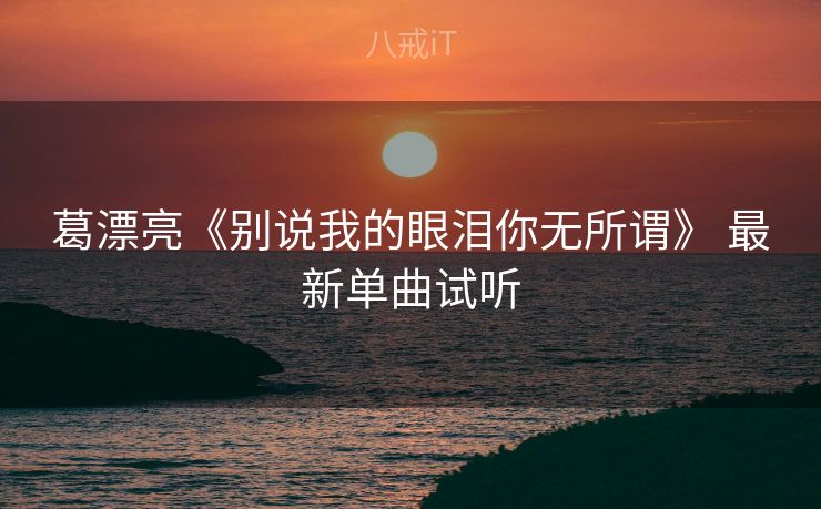 葛漂亮《别说我的眼泪你无所谓》 最新单曲试听