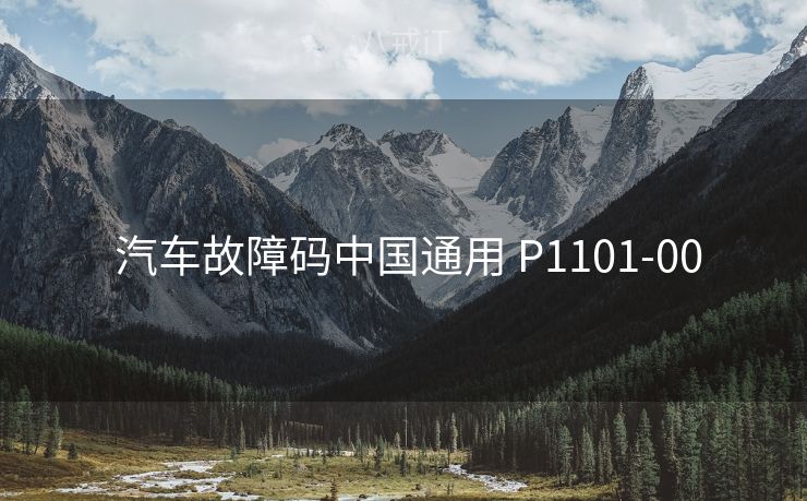  汽车故障码中国通用 P1101-00