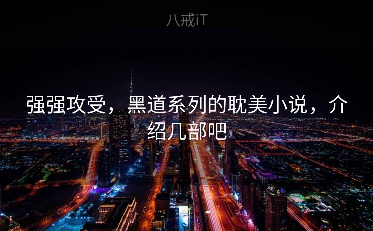 强强攻受，黑道系列的耽美小说，介绍几部吧