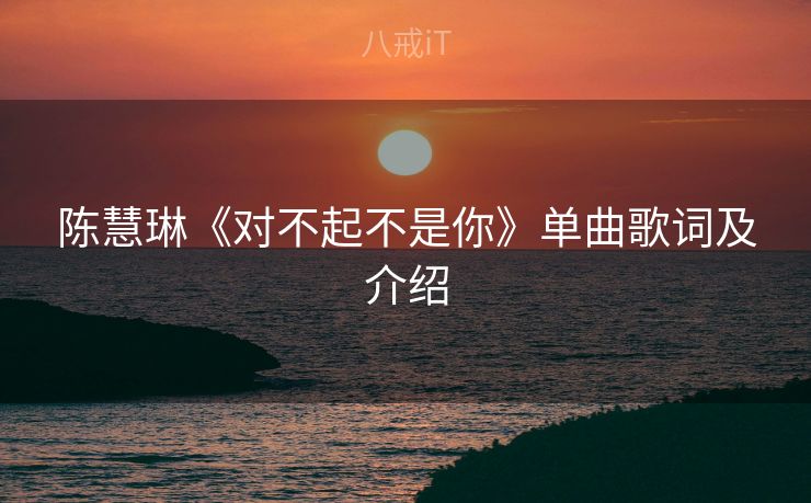 陈慧琳《对不起不是你》单曲歌词及介绍 陈慧琳《对不起不是你》单曲歌词及介绍