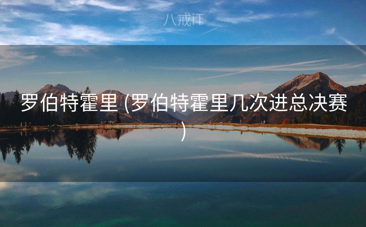 罗伯特霍里 (罗伯特霍里几次进总决赛)