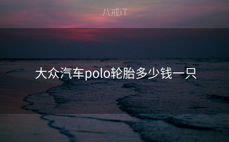  大众汽车polo轮胎多少钱一只