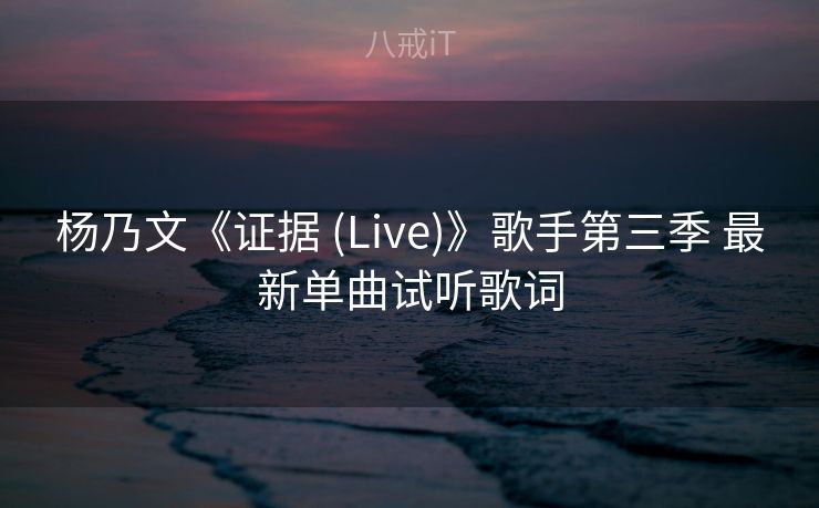 杨乃文《证据 (Live)》歌手第三季 最新单曲试听歌词