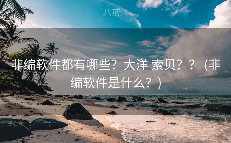 非编软件都有哪些？大洋 索贝？？ (非编软件是什么？)