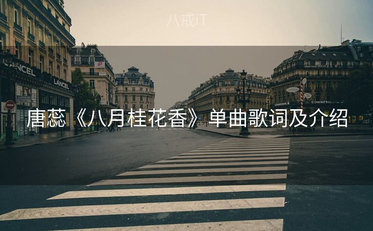 唐蕊《八月桂花香》单曲歌词及介绍