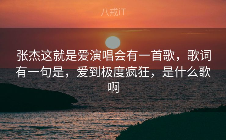 张杰这就是爱演唱会有一首歌,歌词有一句是,爱到极度疯狂,是什么歌啊 张杰这就是爱演唱会有一首歌,歌词有一句是,爱到极度疯狂,是什么歌啊
