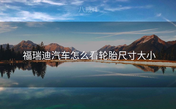  福瑞迪汽车怎么看轮胎尺寸大小