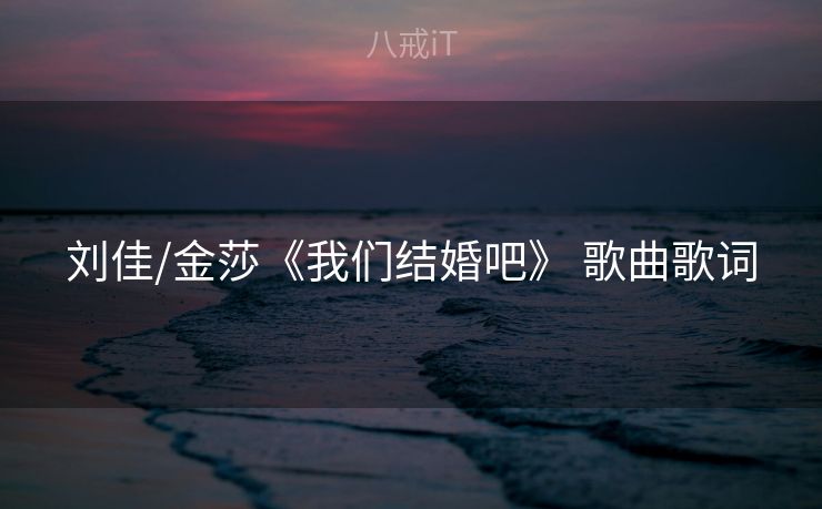 刘佳/金莎《我们结婚吧》 歌曲歌词 刘佳/金莎《我们结婚吧》 歌曲歌词