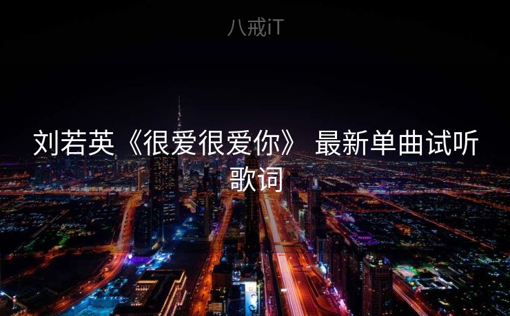 刘若英《很爱很爱你》 最新单曲试听歌词