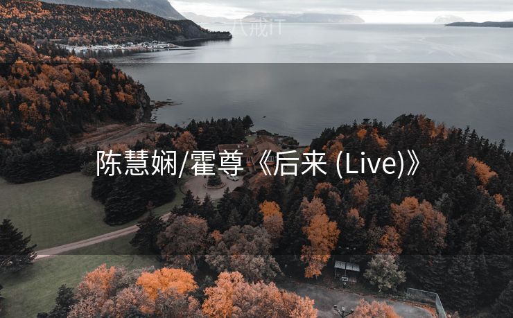 陈慧娴/霍尊《后来 (Live)》