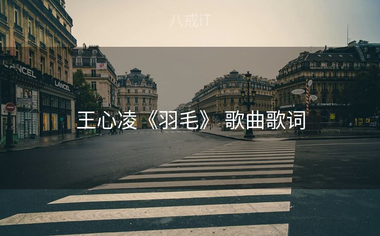 王心凌《羽毛》 歌曲歌词 王心凌《羽毛》 歌曲歌词