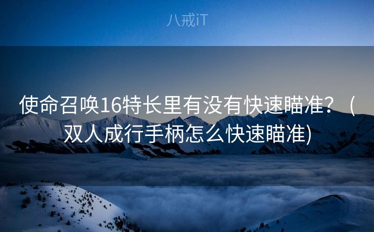 使命召唤16特长里有没有快速瞄准？ (双人成行手柄怎么快速瞄准)